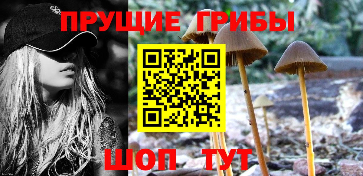 Псилоцибиновые грибы Psilocybine cubensis Джанкой