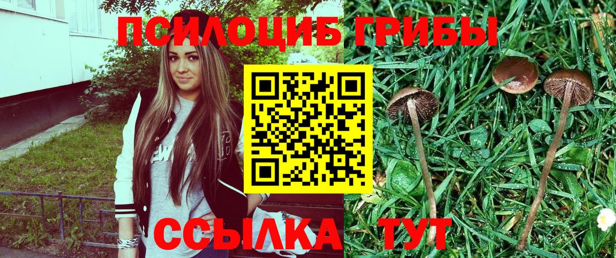 Галлюциногенные грибы MAGIC MUSHROOMS  Вход с VPN  Джанкой 